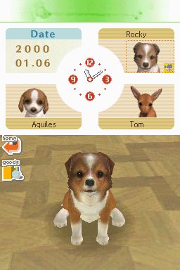 Nintendogs: Teckel y Compañía - Imagen 11