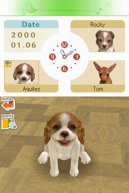 Nintendogs: Teckel y Compañía - Imagen 13