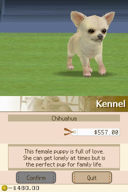 Nintendogs: Teckel y Compañía - Imagen 21