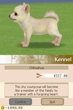 Nintendogs: Teckel y Compañía - Imagen 8