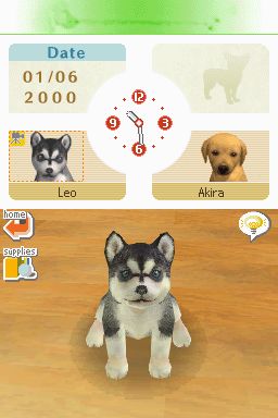 Nintendogs: Teckel y Compañía - Imagen 3