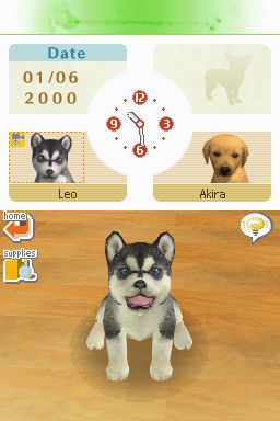 Nintendogs: Teckel y Compañía - Imagen 5