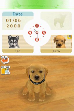 Nintendogs: Teckel y Compañía - Imagen 49