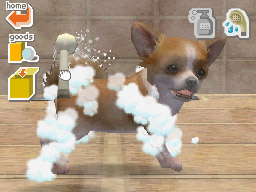 Nintendogs: Teckel y Compañía - Imagen 2
