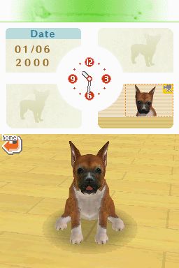 Nintendogs: Teckel y Compañía - Imagen 24