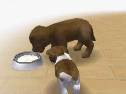 Nintendogs: Teckel y Compañía - Imagen 44