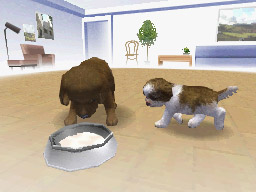 Nintendogs: Teckel y Compañía - Imagen 45