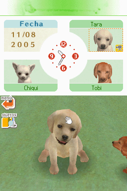 Nintendogs: Teckel y Compañía - Imagen 28