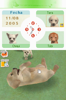 Nintendogs: Teckel y Compañía - Imagen 29