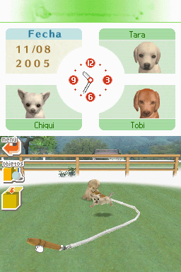 Nintendogs: Teckel y Compañía - Imagen 30