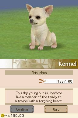 Nintendogs: Teckel y Compañía - Imagen 20