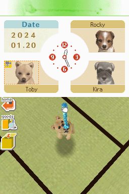 Nintendogs: Teckel y Compañía - Imagen 26