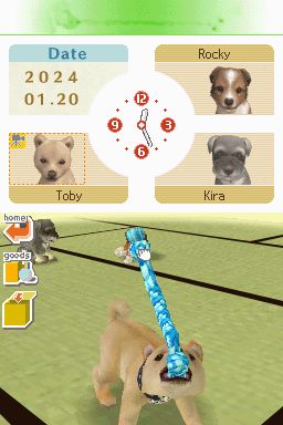 Nintendogs: Teckel y Compañía - Imagen 23