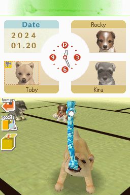 Nintendogs: Teckel y Compañía - Imagen 18
