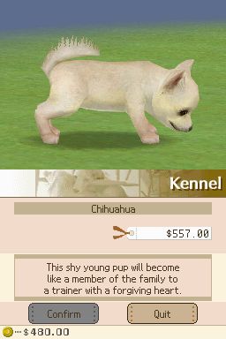 Nintendogs: Teckel y Compañía - Imagen 25