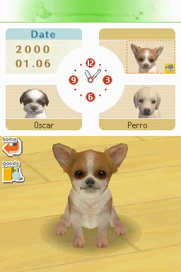 Nintendogs: Teckel y Compañía - Imagen 16
