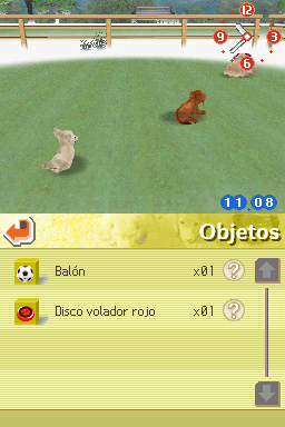 Nintendogs: Teckel y Compañía - Imagen 13