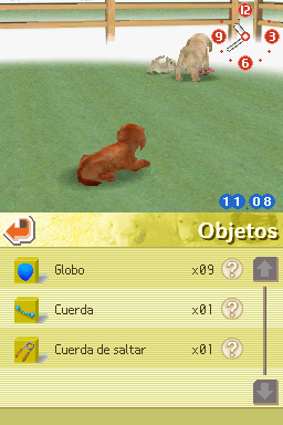 Nintendogs: Teckel y Compañía - Imagen 14