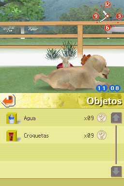 Nintendogs: Teckel y Compañía - Imagen 10