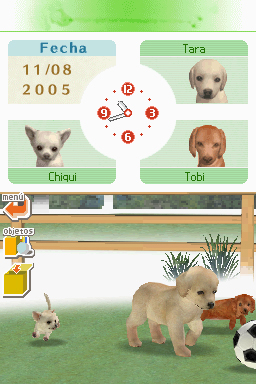 Nintendogs: Teckel y Compañía - Imagen 12