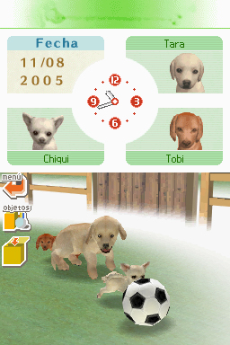Nintendogs: Teckel y Compañía - Imagen 6