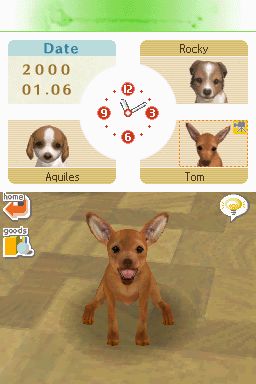 Nintendogs: Teckel y Compañía - Imagen 7