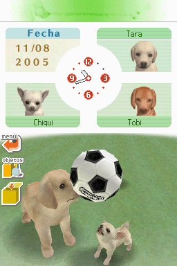 Nintendogs: Teckel y Compañía - Imagen 48