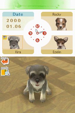 Nintendogs: Teckel y Compañía - Imagen 49