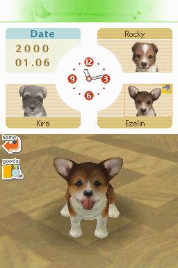 Nintendogs: Teckel y Compañía - Imagen 1