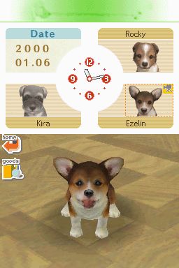 Nintendogs: Teckel y Compañía - Imagen 47