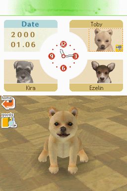 Nintendogs: Teckel y Compañía - Imagen 50