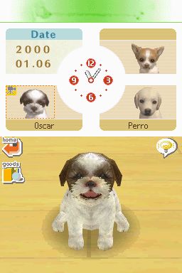 Nintendogs: Teckel y Compañía - Imagen 15
