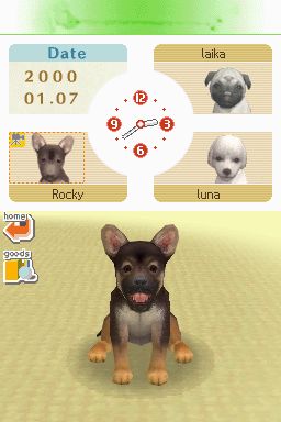 Nintendogs: Teckel y Compañía - Imagen 42