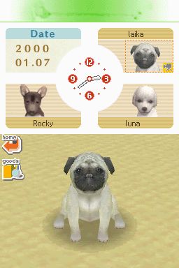 Nintendogs: Teckel y Compañía - Imagen 36