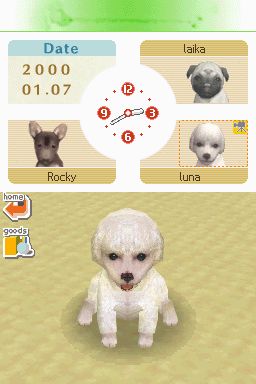 Nintendogs: Teckel y Compañía - Imagen 38