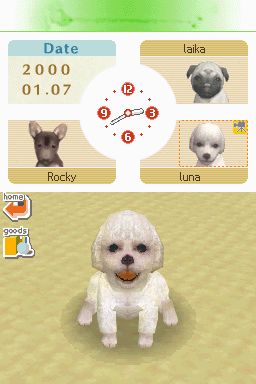 Nintendogs: Teckel y Compañía - Imagen 39