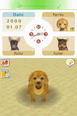 Nintendogs: Teckel y Compañía - Imagen 40