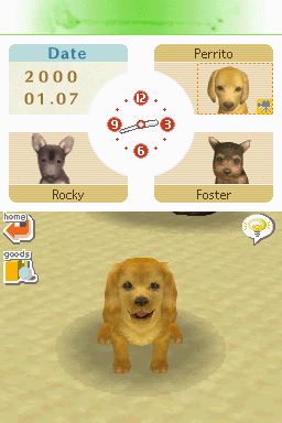Nintendogs: Teckel y Compañía - Imagen 35