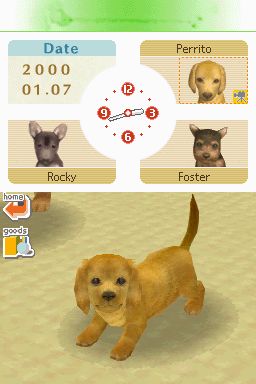 Nintendogs: Teckel y Compañía - Imagen 34