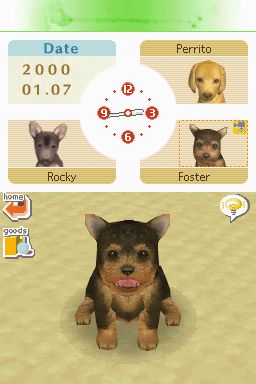 Nintendogs: Teckel y Compañía - Imagen 31