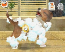 Nintendogs: Teckel y Compañía - Imagen 27