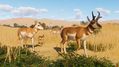 Planet-Zoo-15.jpg