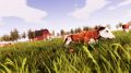 Real-Farm-10.jpg