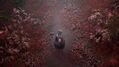 Silent-Hill-f-12.jpg