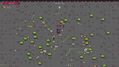 Spellagis-7.jpg