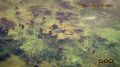 The-Dwarves-14.jpg