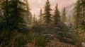 The-Elder-Scrolls-V-Skyrim-Special-Edition-3.jpg